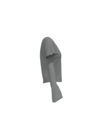 ileum shirt